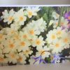 Grußkarte Blumen bunt – Bild 3
