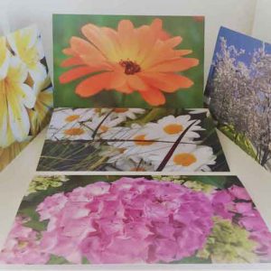 Grußkarten-Set I Blumen / Bäume