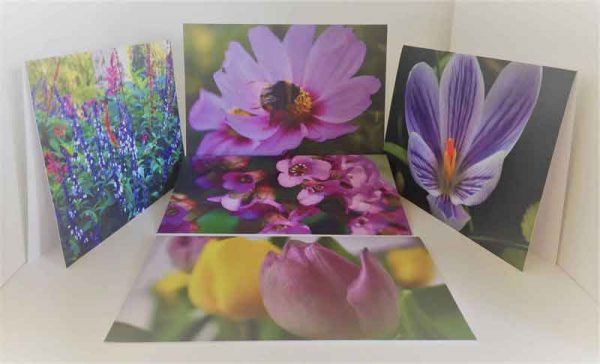 Grußkarten-Set III Blumen