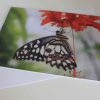 Grußkarte Schmetterling – Bild 2