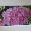 Grußkarte Blumen Hortensien – Bild 2