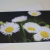 Grußkarte Blumen Gänseblümchen – Bild 2