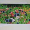 Grußkarte Blumenwiese – Bild 2