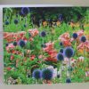 Grußkarte Blumenwiese – Bild 3