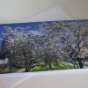 Grußkarte Bäume mit Blüten (glänzend) – Bild 2