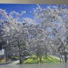 Grußkarte Bäume mit Blüten (glänzend) – Bild 3