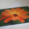 Grußkarte Blume orange – Bild 2