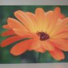 Grußkarte Blume orange – Bild 3
