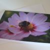 Grußkarte Hummel auf Blüte – Bild 2