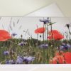 Grußkarte Klatschmohn - Kornblumen – Bild 2