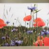 Grußkarte Klatschmohn - Kornblumen – Bild 3