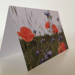 Grußkarte Klatschmohn - Kornblumen