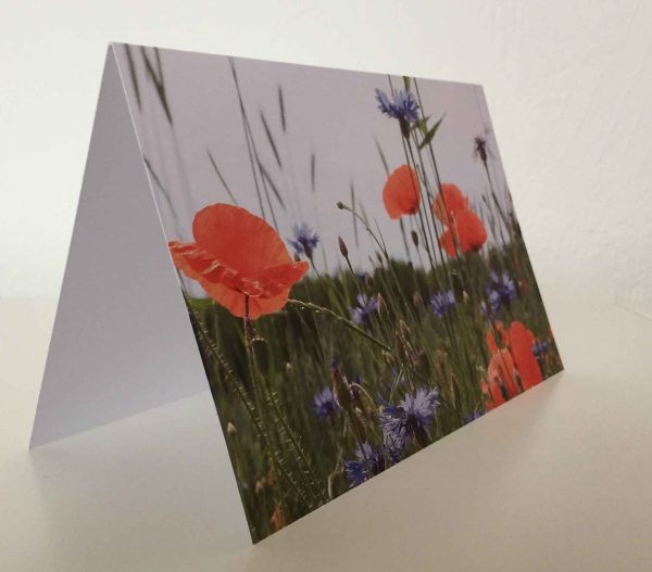 Grußkarte Klatschmohn - Kornblumen