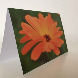 Grußkarte Blume orange