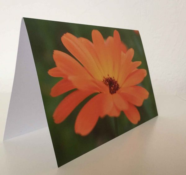 Grußkarte Blume orange