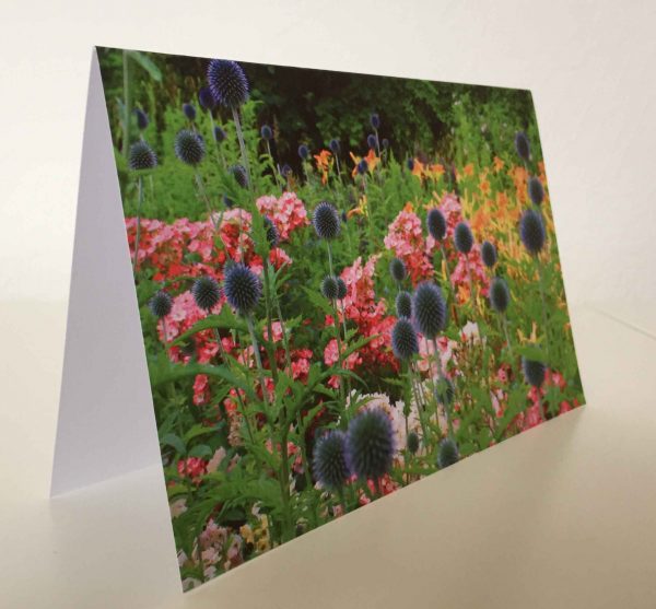 Grußkarte Blumenwiese