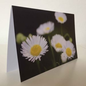Grußkarte Blumen Gänseblümchen