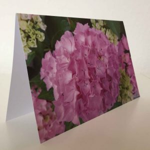 Grußkarte Blumen Hortensien