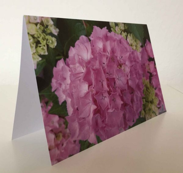 Grußkarte Blumen Hortensien