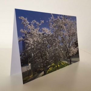 Grußkarte Bäume mit Blüten (glänzend)