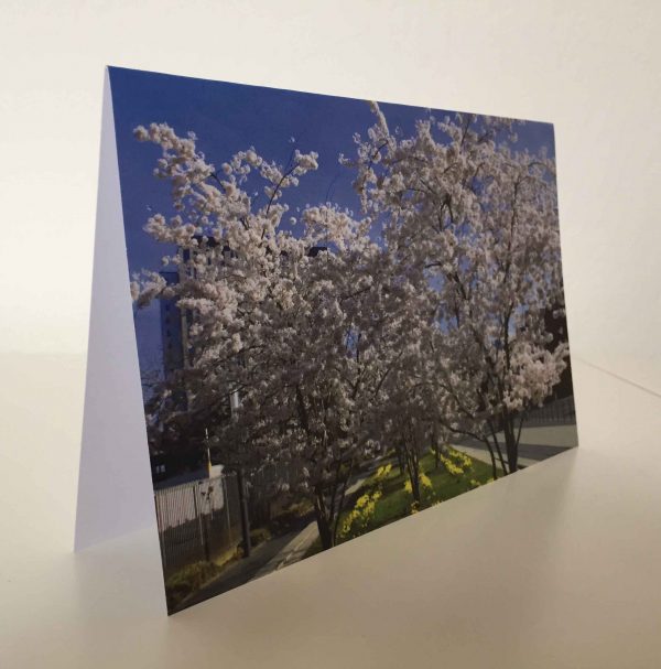 Grußkarte Bäume mit Blüten (glänzend)