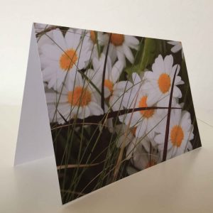 Grußkarte Blumen Wildblumen