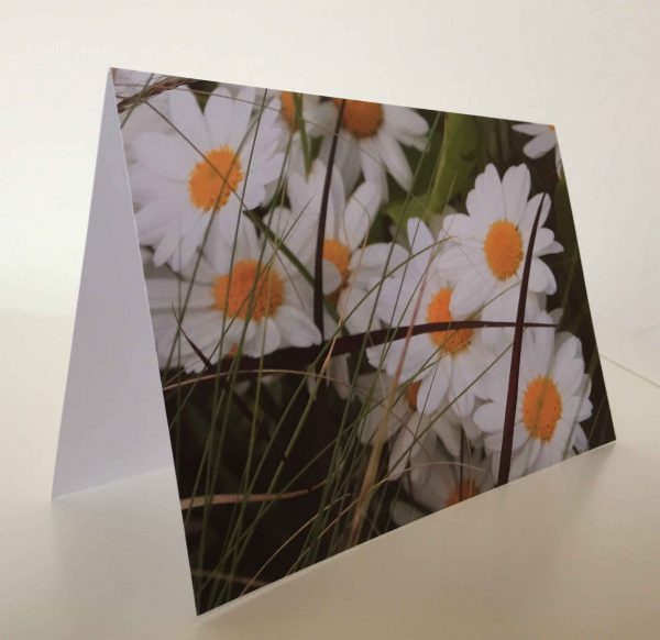 Grußkarte Blumen Wildblumen