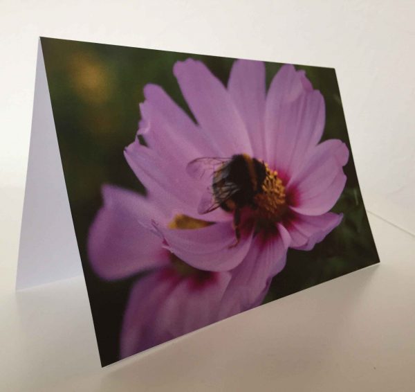Grußkarte Hummel auf Blüte