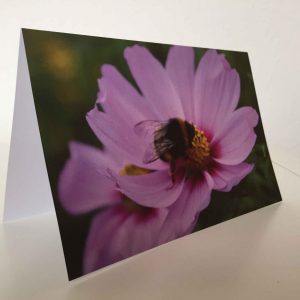 Grußkarte Hummel auf Blüte