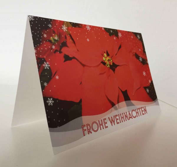 Weihnachtskarte Weihnachtsstern rot