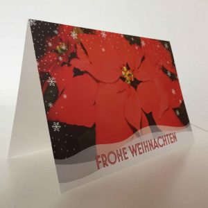 Weihnachtskarte Weihnachtsstern rot