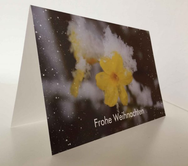 Weihnachtskarte Blüte im Schnee