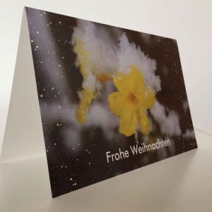 Weihnachtskarte Blüte im Schnee