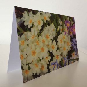 Grußkarte Blumen bunt