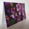 Grußkarten-Set III Blumen – Bild 5