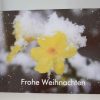 Weihnachtskarte Blüte im Schnee – Bild 3