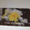 Weihnachtskarte Blüte im Schnee – Bild 2