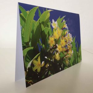 Grußkarte Blumen Frangipani