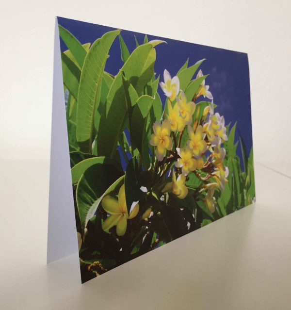 Grußkarte Blumen Frangipani