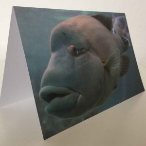 Grußkarte Fisch grau-blau