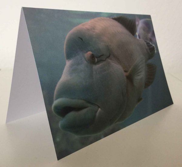 Grußkarte Fisch grau-blau