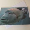 Grußkarte Fisch grau-blau – Bild 2