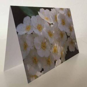 Grußkarte Blumen weiß (glänzend)