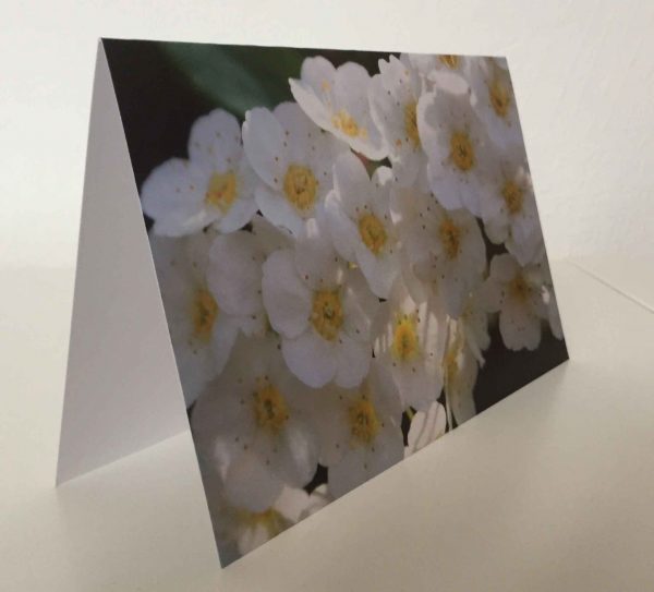 Grußkarte Blumen weiß (glänzend)