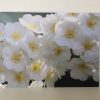 Grußkarte Blumen weiß (glänzend) – Bild 3