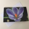 Grußkarte Blume Krokus (glänzend) – Bild 2