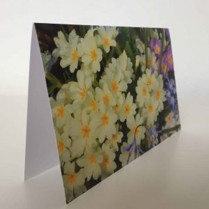 Grußkarte Blumen bunt (glänzend)
