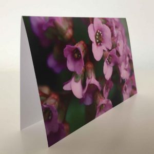 Grußkarte Blumen klein lila-violett (glänzend)