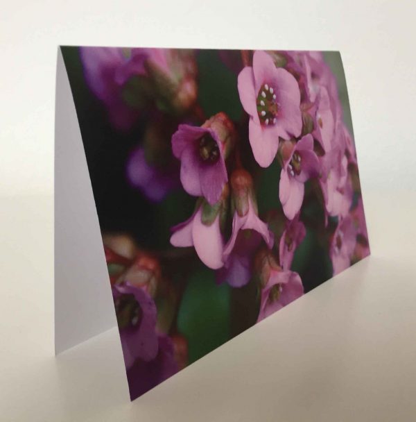 Grußkarte Blumen klein lila-violett (glänzend)