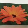 Postkarten-Set Blumen – Bild 3
